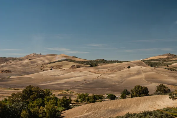 Le paysage andalou — Photo