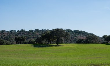 içinde Alentejo peyzaj