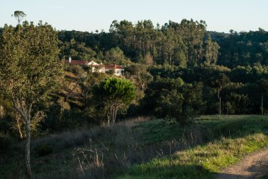 içinde Alentejo peyzaj
