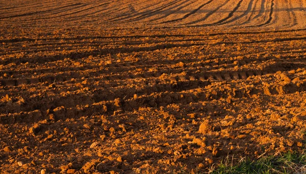 アレンテージョ地方を風景します。 — ストック写真