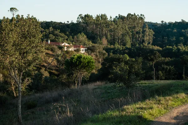 Krajobraz w alentejo — Zdjęcie stockowe