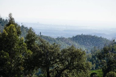 Büyüleyici Monchique Dağları Algarve, Portekiz