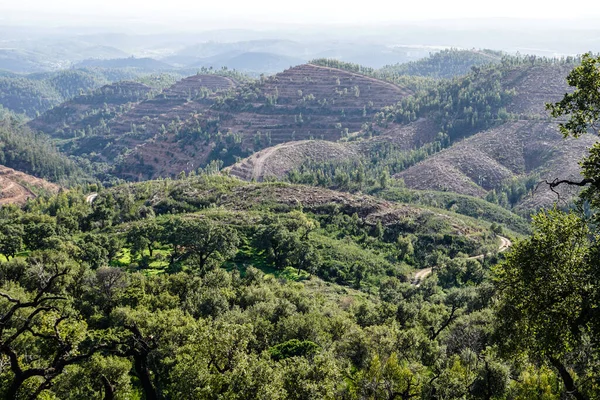 魅力的なモンシケ ポルトガル アルガルヴェの山の中 ストック写真