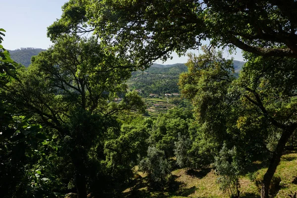 Encantador Monchique Las Montañas Del Algarve Portugal Imagen de stock