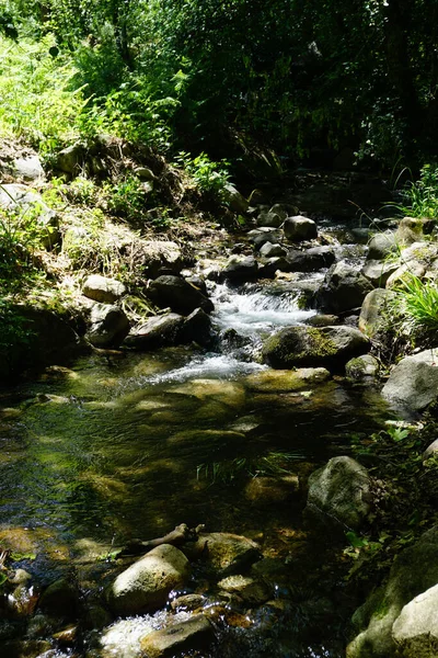 Uroczy Monchique Górach Algarve Portugalia Zdjęcia Stockowe bez tantiem