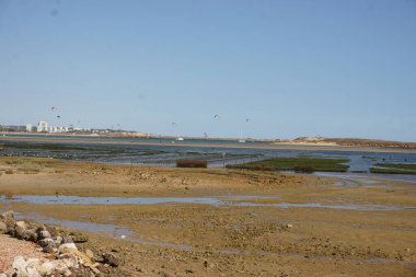İstiridye yetiştiriciliği, istiridye tuzakları, yüzen ağ torbaları.