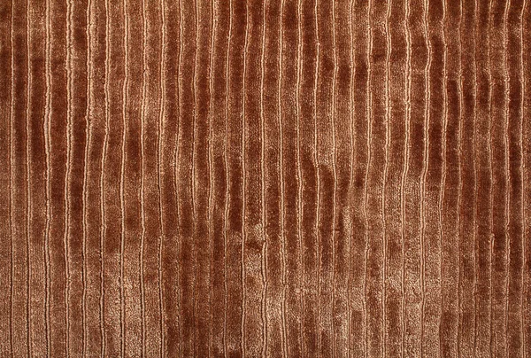 Carpet — Stock Photo, Image