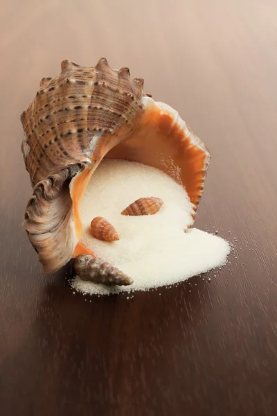 Bath salt and seashell on the wooden background — Stock Photo, Image