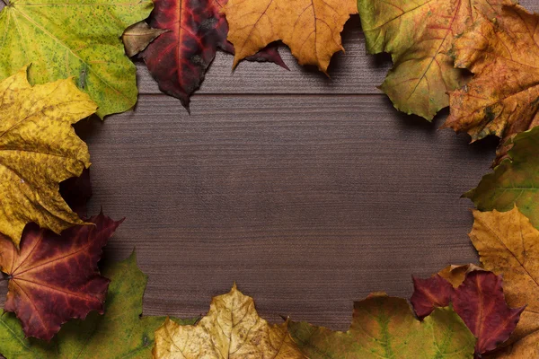 Πολύχρωμα φύλλα του φθινοπώρου πλαίσιο σε ξύλινο φόντο — Φωτογραφία Αρχείου