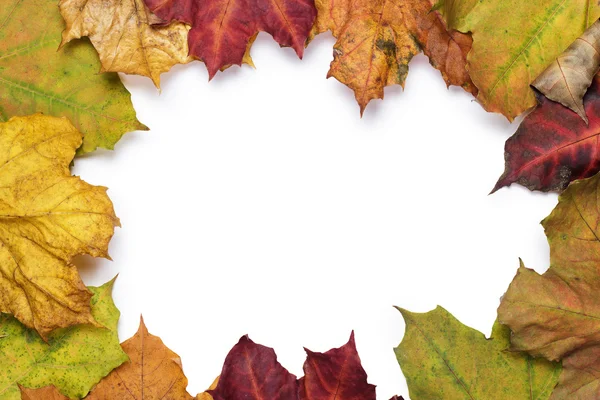 Colorful autumn leaves frame with copy space — Stock Photo, Image