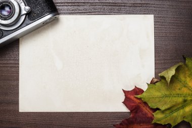 Retro kamera ve ahşap masa üzerinde bazı sonbahar yaprakları
