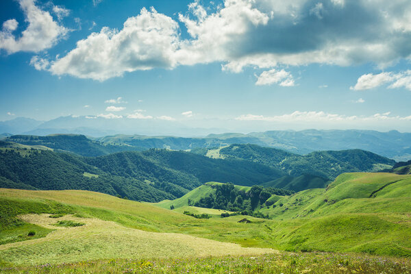 Summer mountains green grass and blue sky landscape