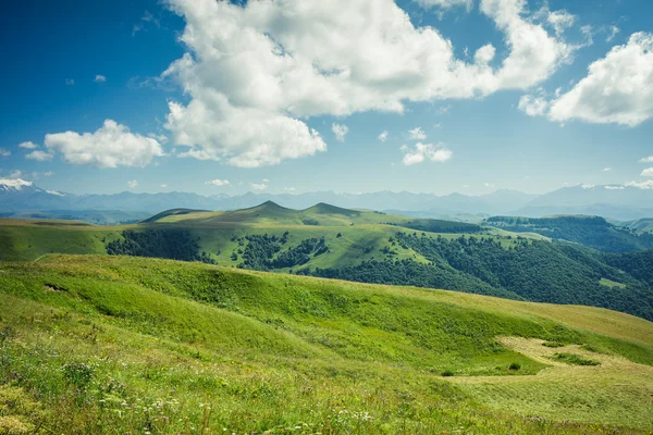 Letní hory krajina zelené trávy a modrá obloha — Stock fotografie