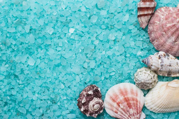 Blue bath salt and seashells — Stock Photo, Image