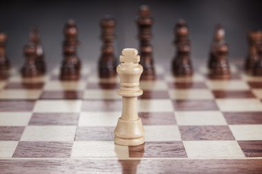 Satranç liderlik kavramı üzerinde satranç