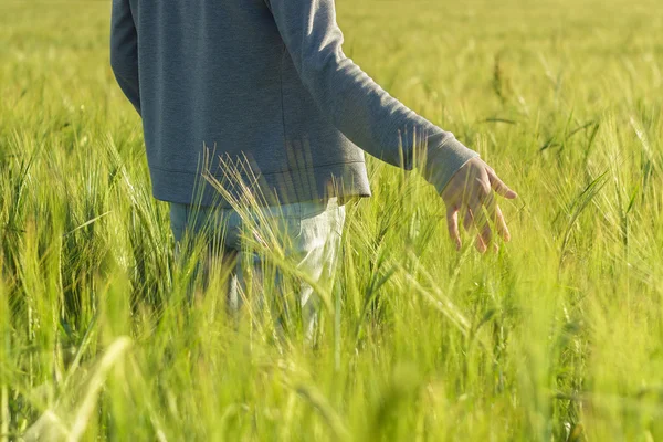 Girl and green field in the morning — Stock Photo, Image