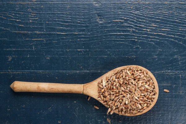 Cuillère en bois pleine de cultures sur la table bleue — Photo