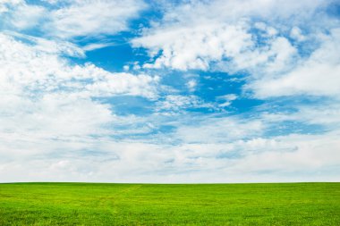 Mavi Gökyüzü ve yeşil çimenler