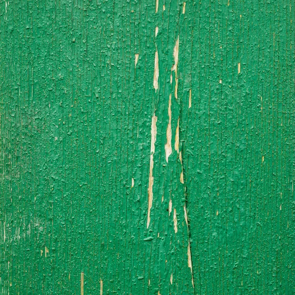 Texture en bois vert — Photo