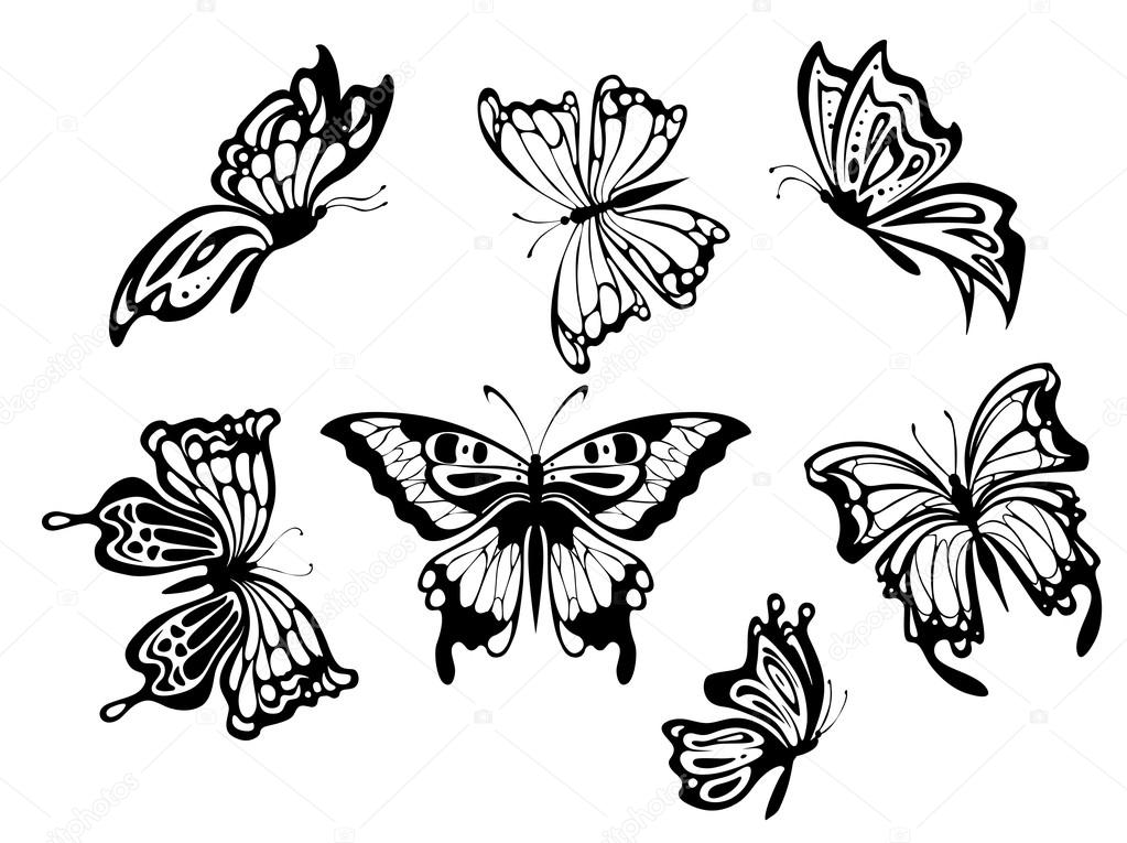 Beautiful butterflies Stock Vector Image by ©buchan #12614180