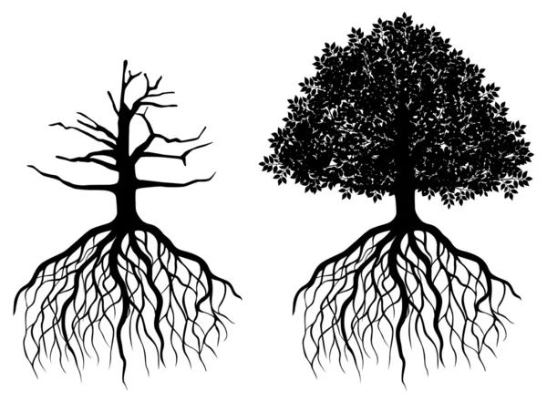 Изолированное дерево с корнями — стоковый вектор