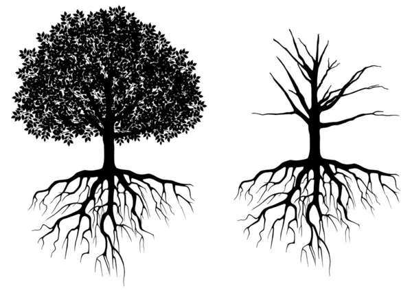 Baum mit Wurzeln — Stockvektor