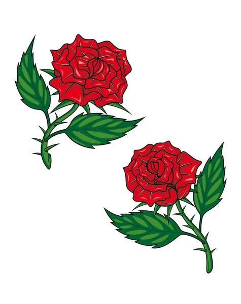 Dvě Růže červené kreslený — Stockový vektor