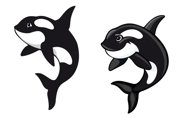 Killer whales — Stock Vector