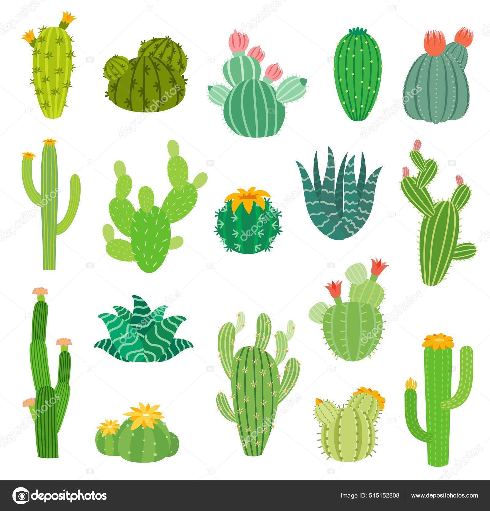 Dibujos Animados Suculentas Cactus Del Desierto Mexicano Peruano Con Flores  Vector de stock #515152808 de ©Buchandbee, image size:1600x1668