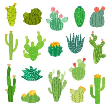 Cartoon Mexican or Peruvian desert cactus succulents with flowers, vector isolated icons. Summer cacti plants of aloe vera, agave and opuntia with blossom flowers, Mexico and Peru pricky plants clipart