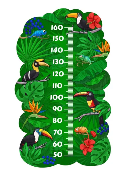 Dzieci Wykres Wysokości Tukany Ptaków Kameleonów Dżungli Liści Tropikalnych Pomiaru — Wektor stockowy