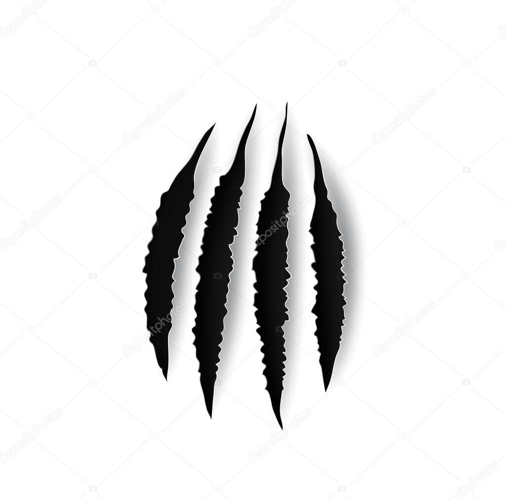 Bear claw marks, scratches, wild animal talon rips, vector holes of predator nails. Tiger or cat paws trails, realistic 3d marks of lion, monster, dragon or beast, break traces on white background