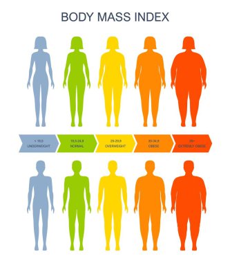 Vücut kitle indeksi tablosu, kadın ve erkek silueti, BMI sağlık, obezite ve aşırı kilolu vektör ölçeği. Kadın ve erkek şişman obez ağırlığı ve zayıf BMI ölçeğinde vücut kütle indeksi bilgisi