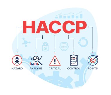 HACCP, tehlike analizi ve kritik kontrol noktaları vektör kavramı. Gıda güvenliği denetimi, kalite standartlarının uyumu ve hijyen sertifika şeması grafikler, çizelgeler ve HACCP sembolleriyle