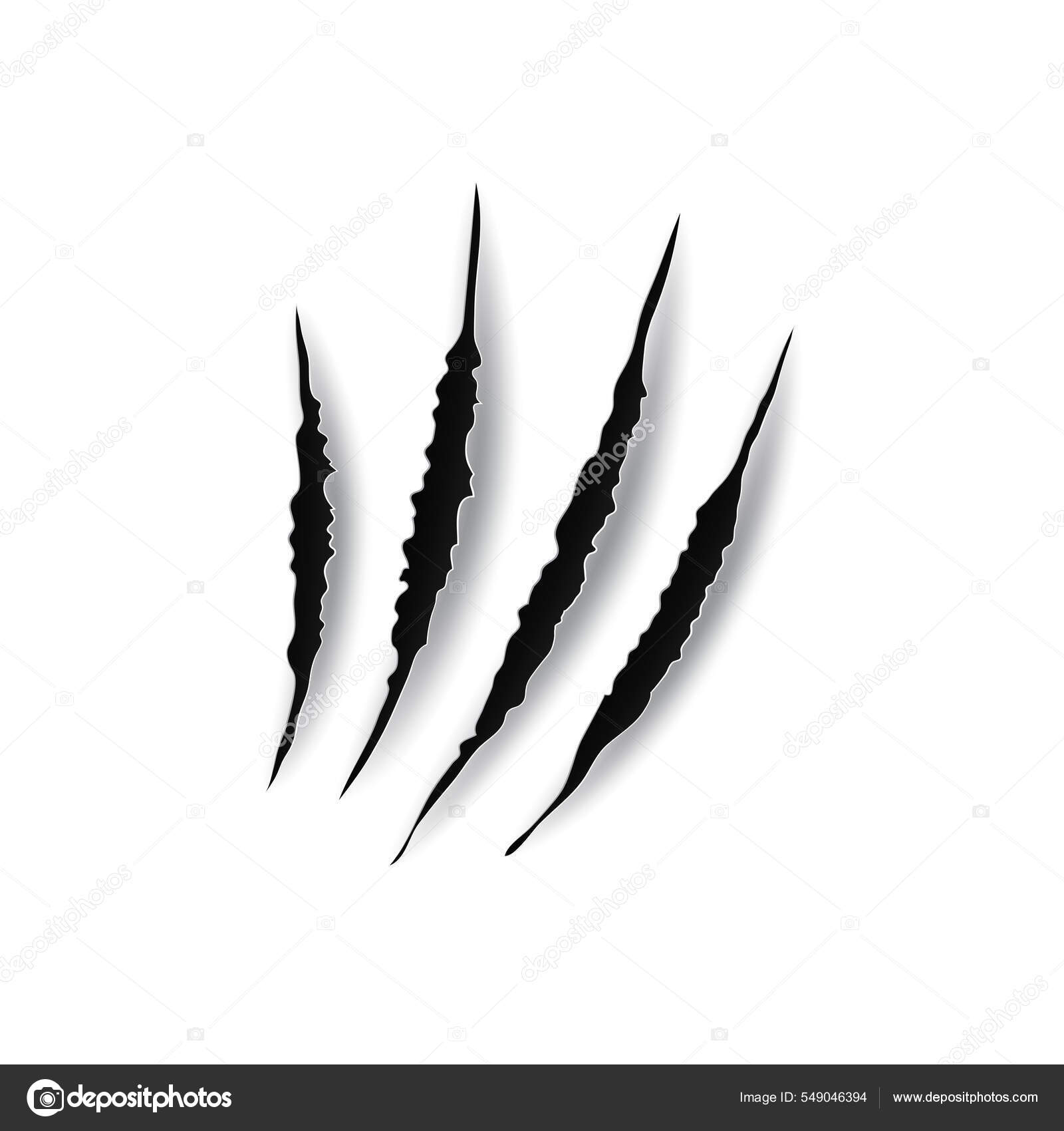 Черные Царапины Царапины Ногтей Животных Изолированы Монохромной.