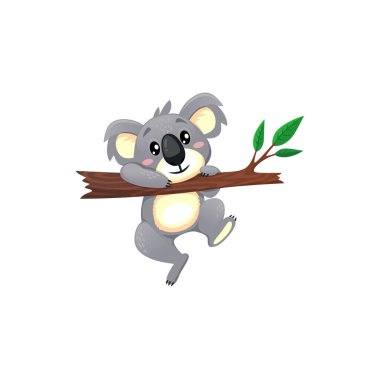 Okaliptüs dalında oynayan sevimli Avustralya hayvan koalası gri ayı tatlı çizgi film karakteri. Ağaçta asılı duran mutlu koala, neşeli vahşi yaşam memelisi, tembel koala bebek