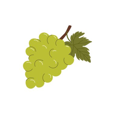 Yeşil üzüm, yaprak yassı çizgi film ikonuyla izole edilmiş. Vektör şarap malzemesi, vejetaryen yemek tatlısı, isabella üzümü, tatlı yaz meyveleri, misk kedisi kardinal kümesi, taze üzüm.