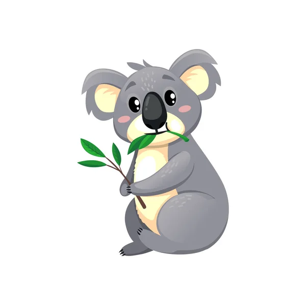 Koala Urso Personagem Desenho Animado Comendo Folhas Eucalipto Isolado Branco — Vetor de Stock