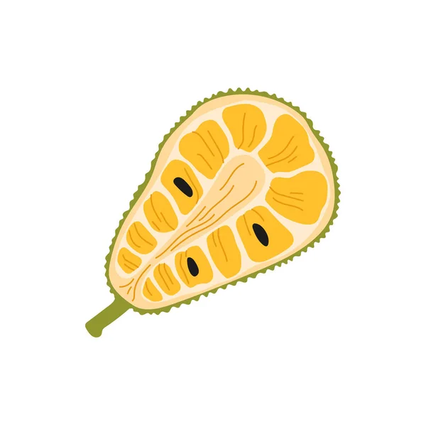 Tropisch Durian Fruit Dessert Geïsoleerd Half Gesneden Exotisch Voedsel Vector — Stockvector