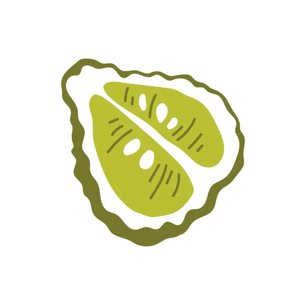 Grüne Bergamotte Zitrusfrüchte Halb Geschnitten Isoliert Flache Cartoon Stil Ikone — Stockvektor