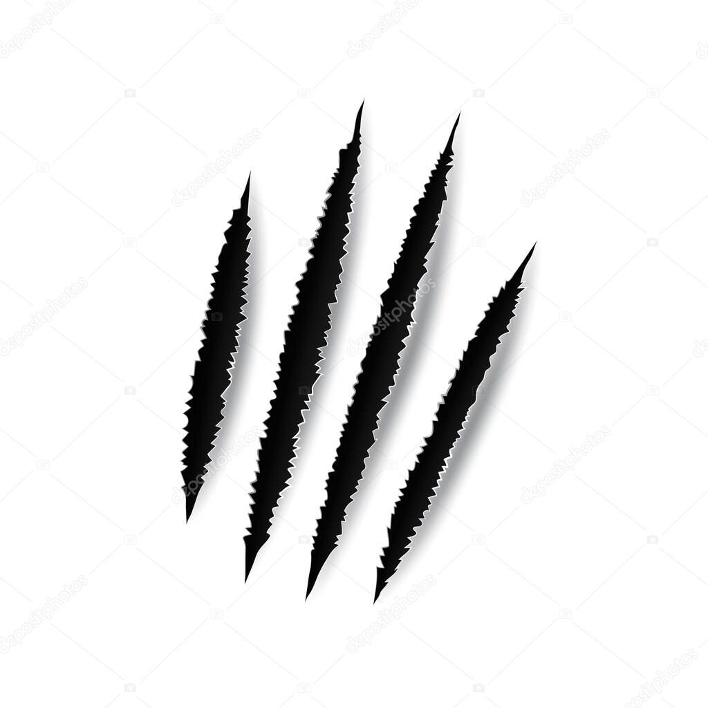 Claw scratch isolated wild animal nails trace track signs. Vector rip tiger, bear or cat paw sherds. Realistic 3d marks on paper texture, lion, monster or beast break, four claws scratch trace
