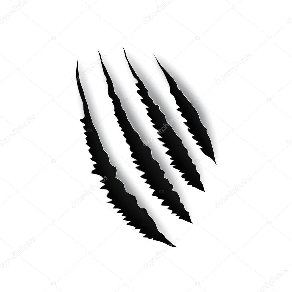 Animals nails trace on paper, scratches of claw isolated on white paper. Vector wild animal nails of tiger, bear or cat paw sherds. Cat tiger scratches paw shape, four nails trace in flat design