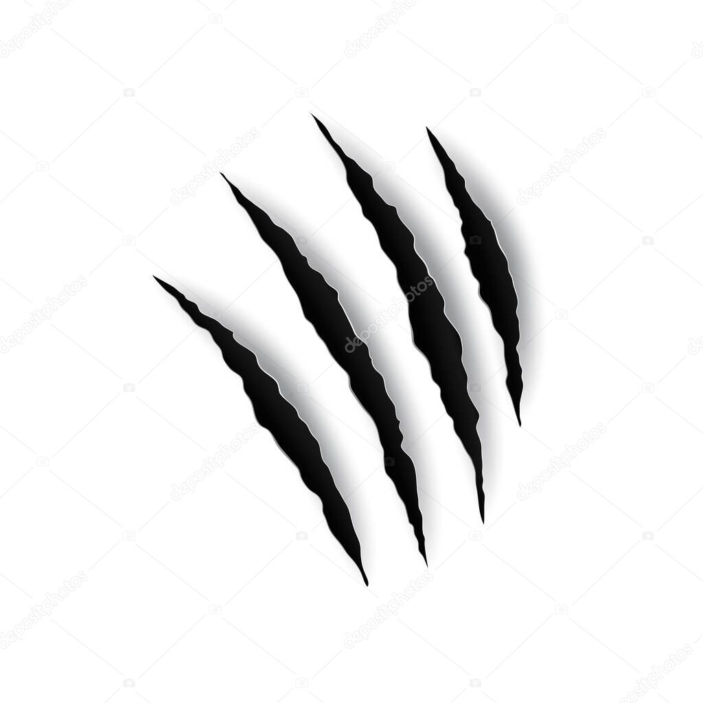 Tiger or wild cat animal nails trace scratches isolated four paws print. Vector black bloody claws animal scrape track cat tiger scratches paw shape. Dinosaur, monster or dog nail ripped cracks