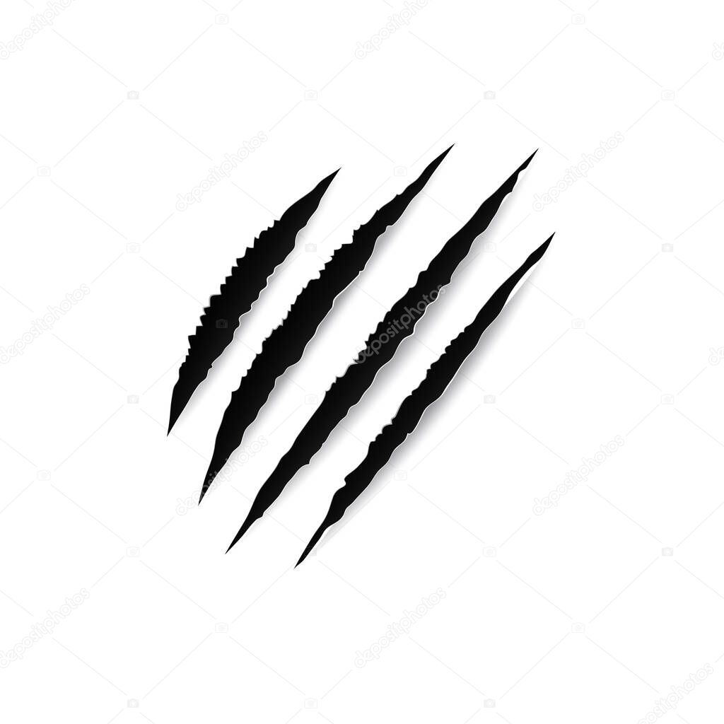 Scratches of claw, animals nails trace on paper isolated. Vector monster beast break, four claws scratch trace on paper texture. Claw scratch wild rip tiger, bear or cat paw sherds, werewolf trail