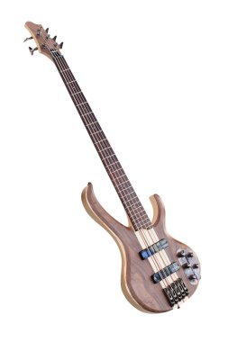 Elektro gitar