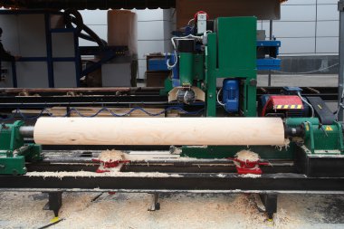 Ağaç işleme fabrikası