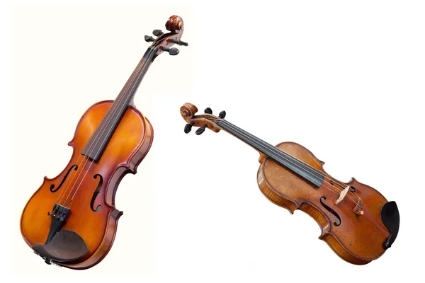 Violini — Foto Stock
