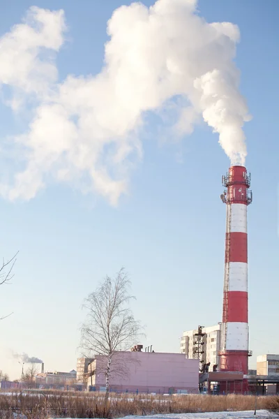 Rook uit de pipe — Stockfoto