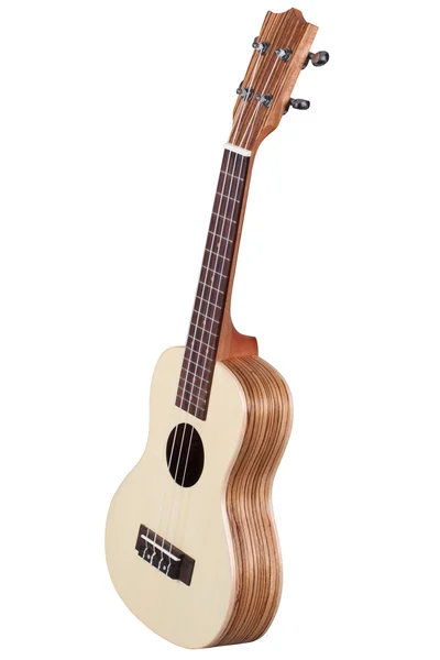 Гавайская гитара — стоковое фото