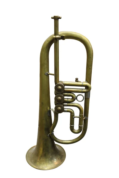 Trumpet — Stockfoto